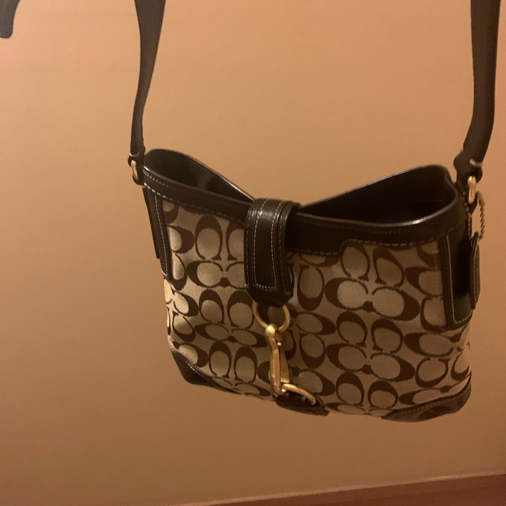 I have too many purses